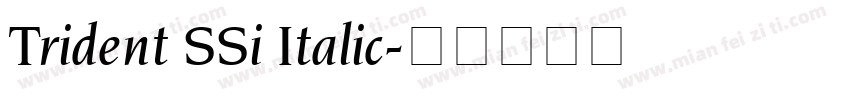 Trident SSi Italic字体转换